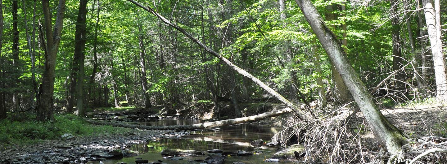 Cunningham Falls State Park