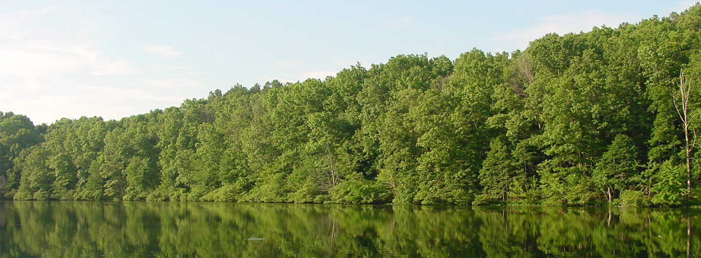 David Crockett State Park