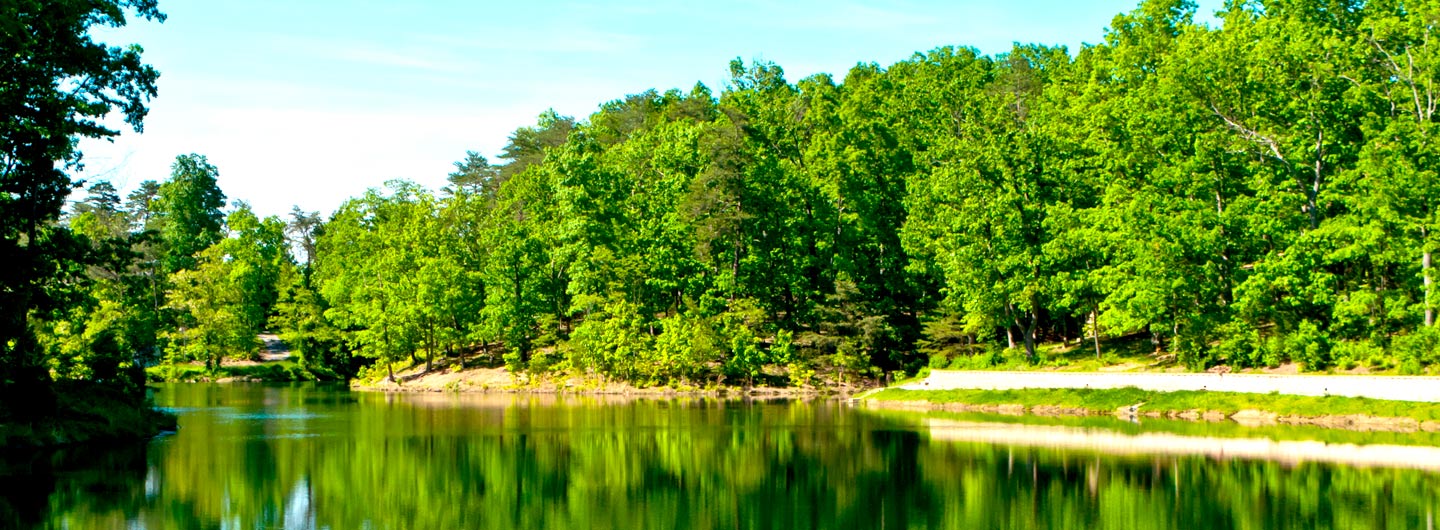 Gillham Lake Outdoorsy