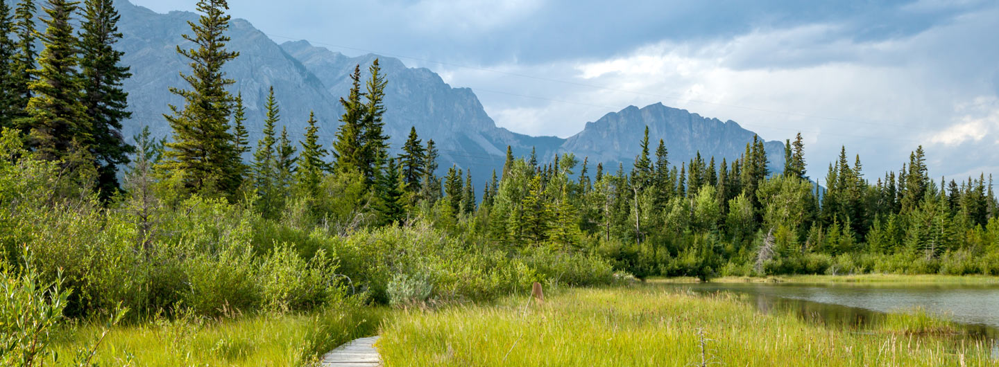 Gleniffer Reservoir Provincial Recreation Area Outdoorsy