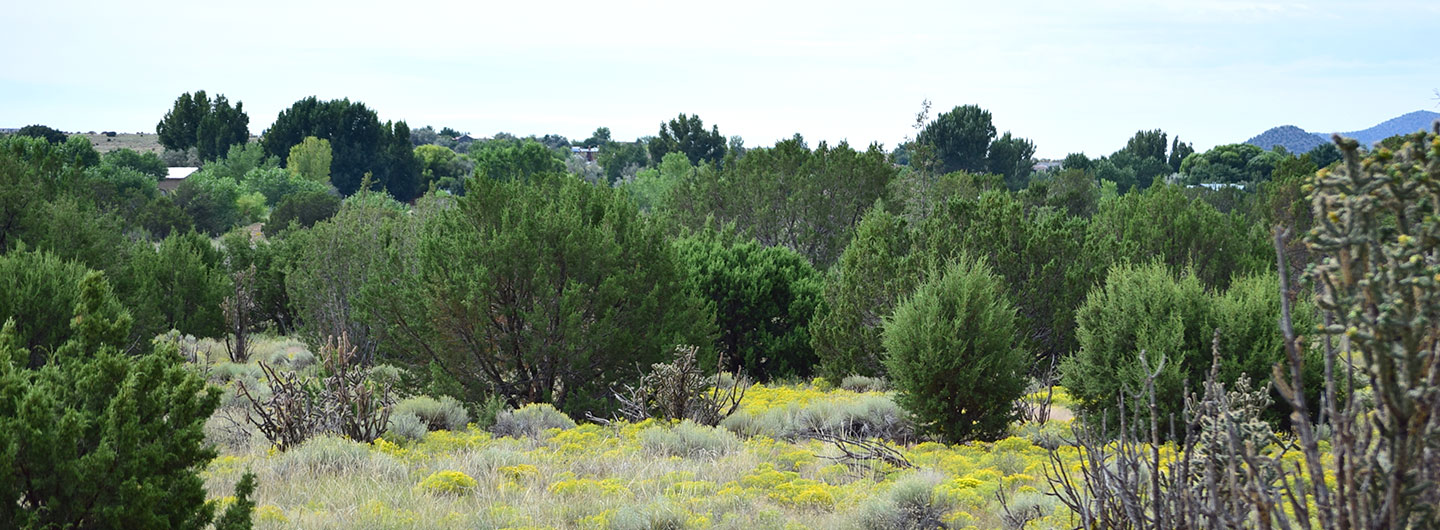 Hyde Memorial State Park