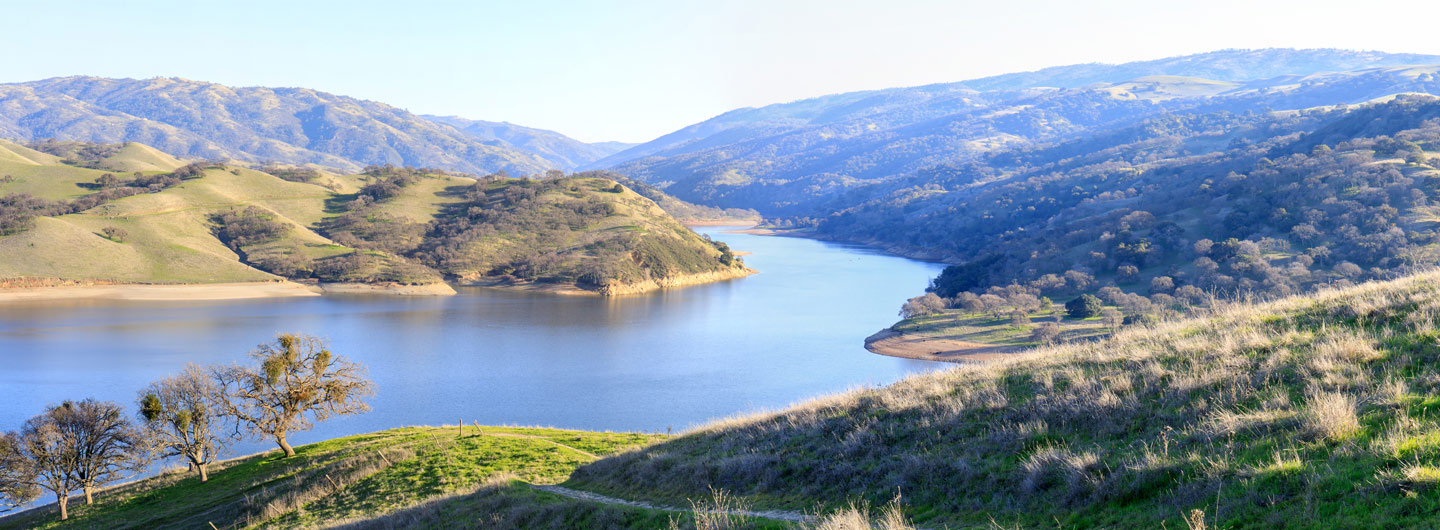 Does Lake Del Valle Allow Dogs