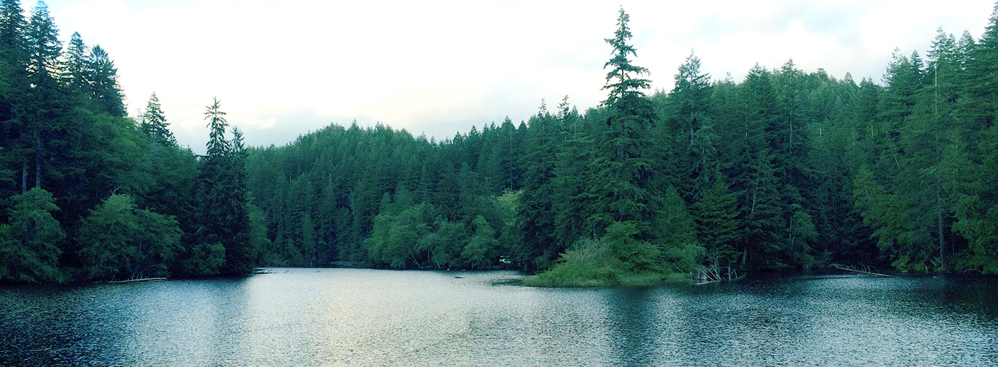 Lake Sylvia State Park