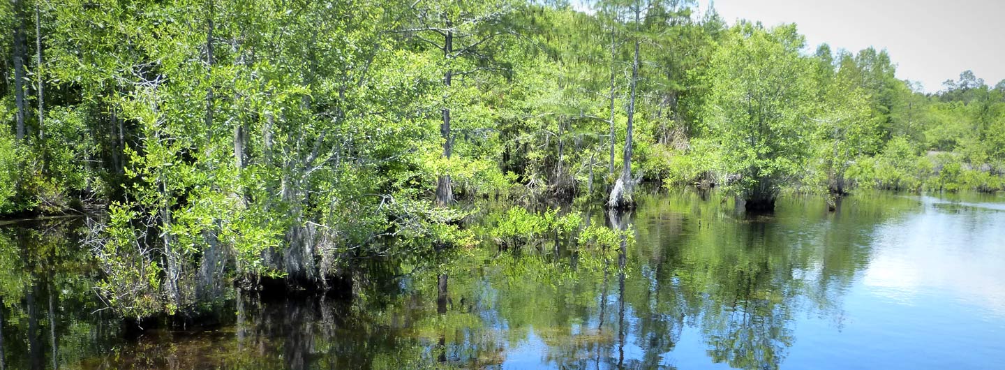 Laura S. Walker State Park