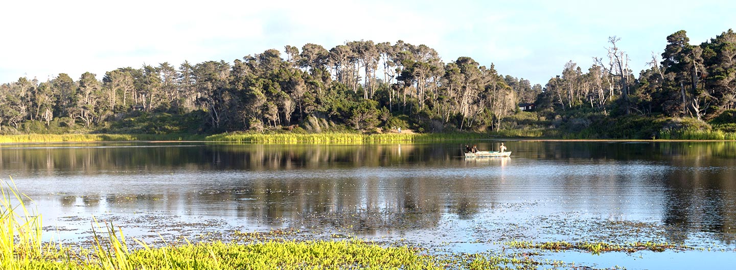 MacKerricher State Park