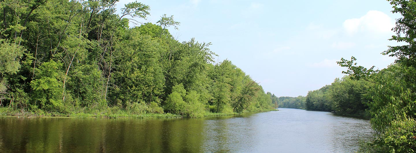 Pinckney Recreation Area