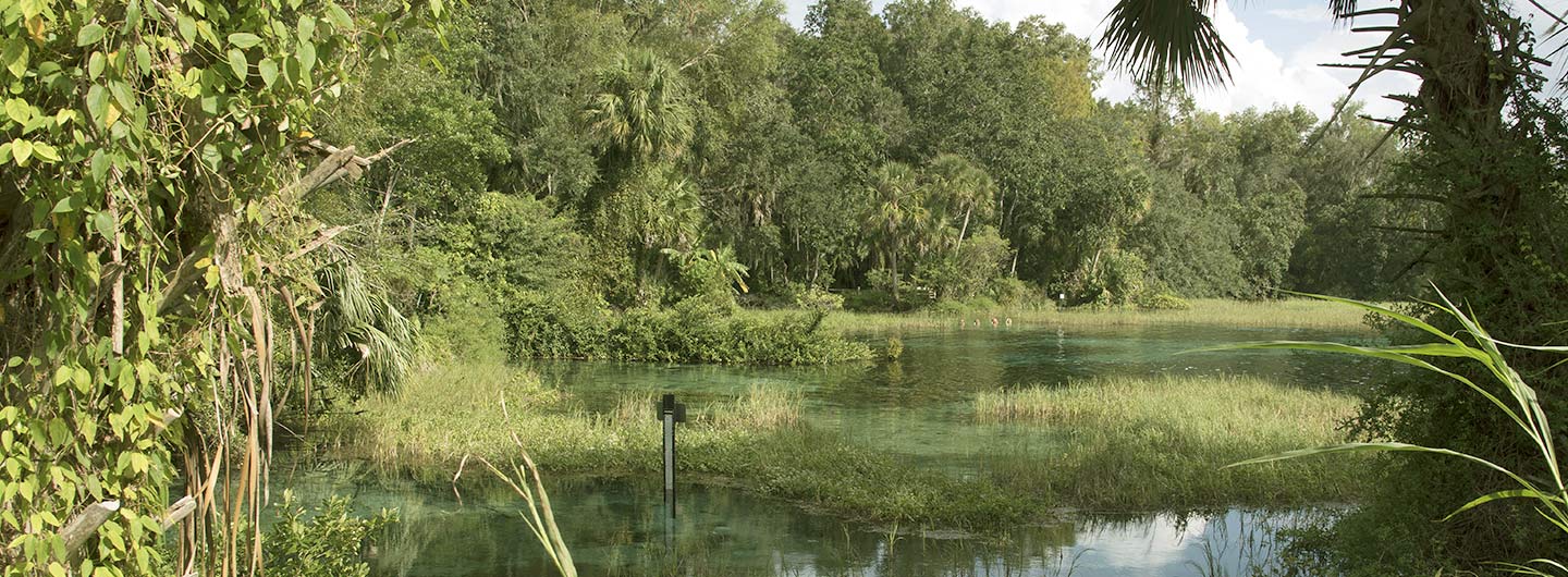 Rainbow Springs State Park