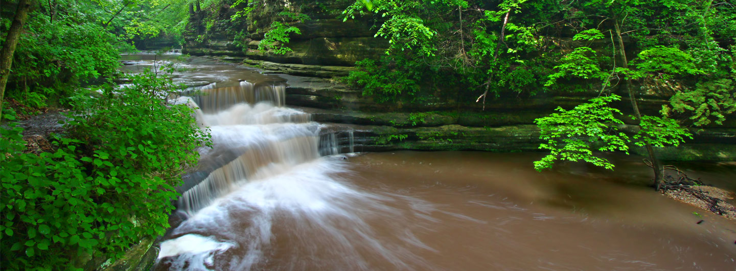 Rice Lake State Park