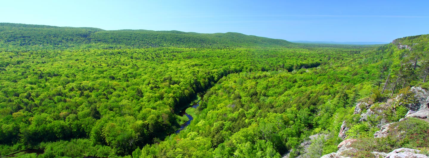Rifle River Recreation Area