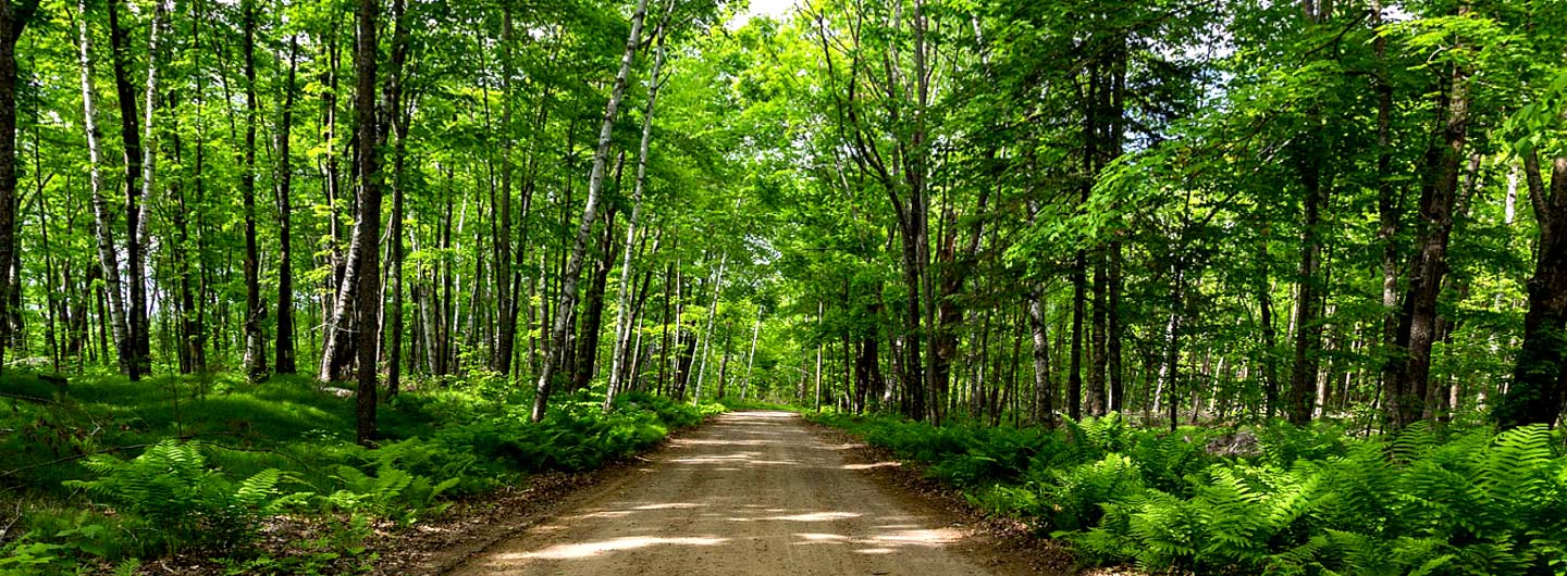 Savanna Portage State Park