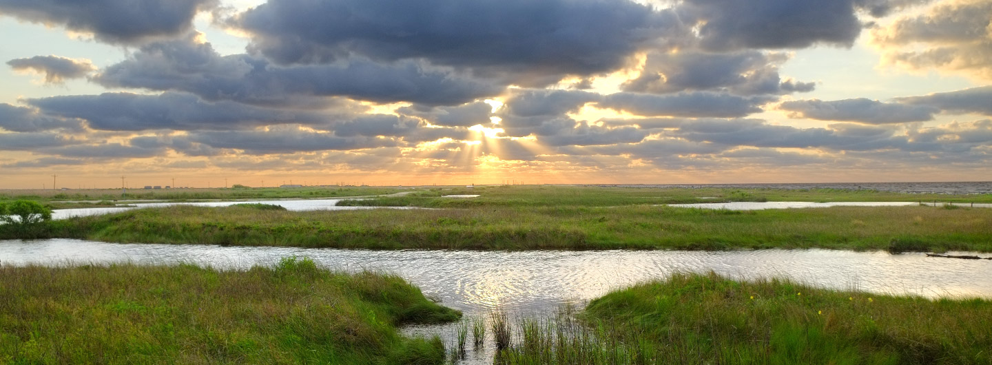 Sea Rim State Park