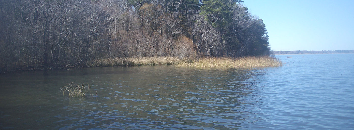 Three Rivers State Park