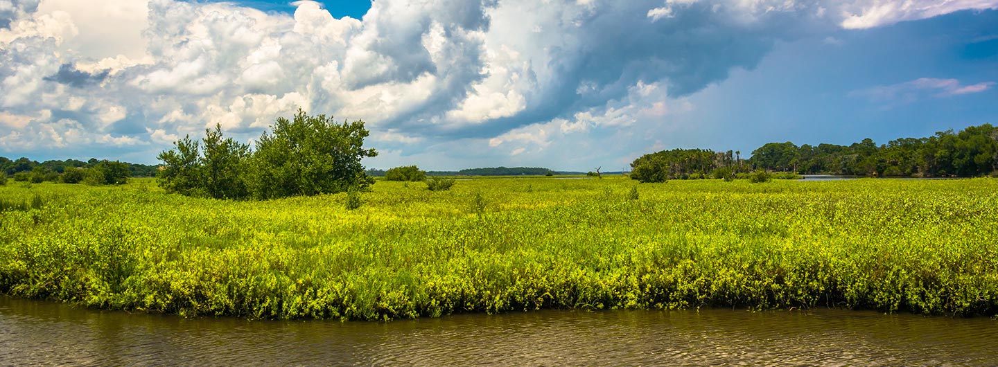 Tomoka State Park