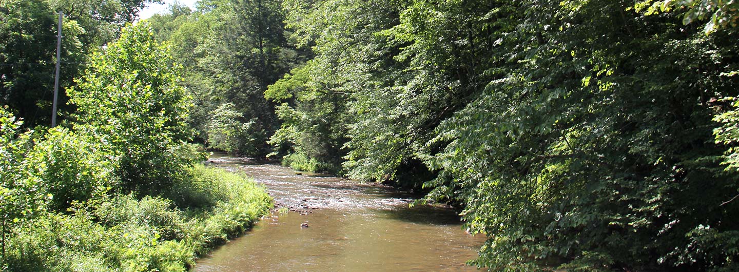 Trough Creek State Park