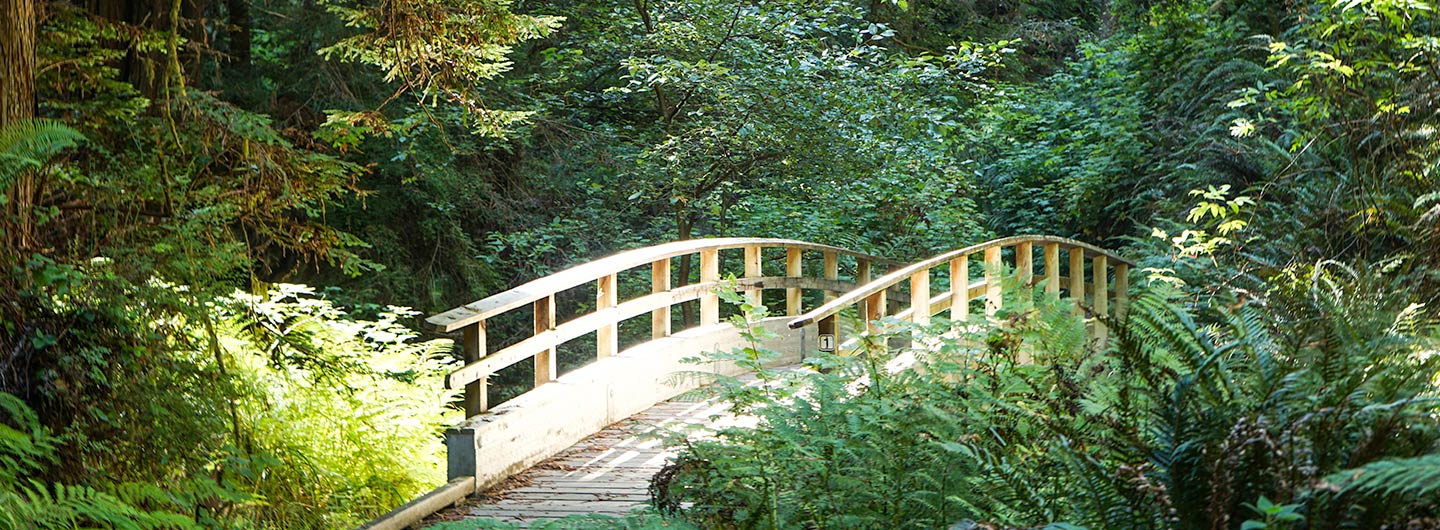 Van Damme State Park