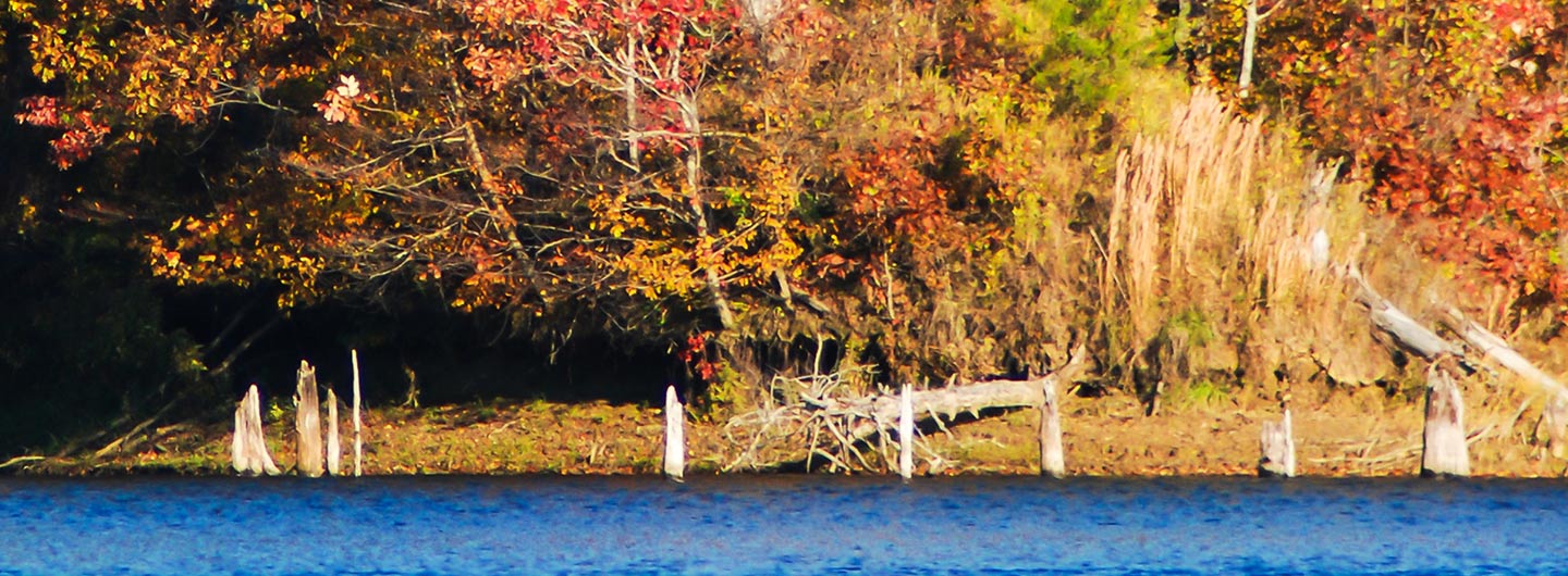 Village Creek State Park