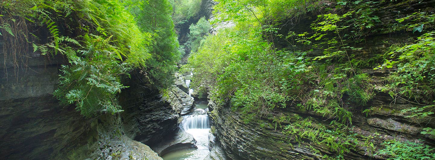 Watkins Glen State Park