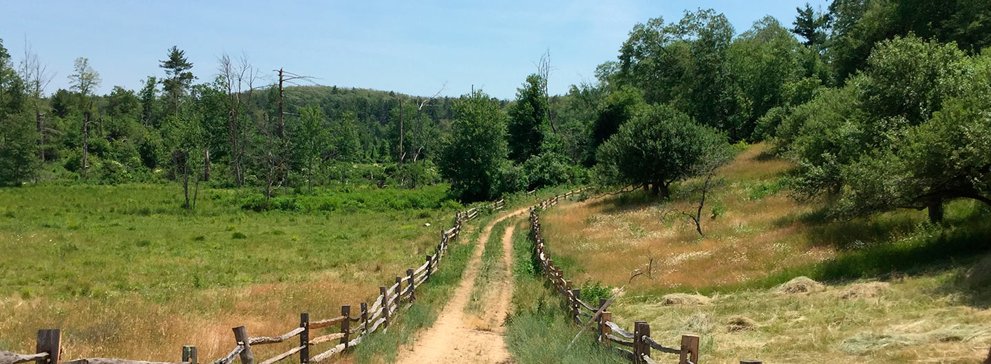 Wells State Park