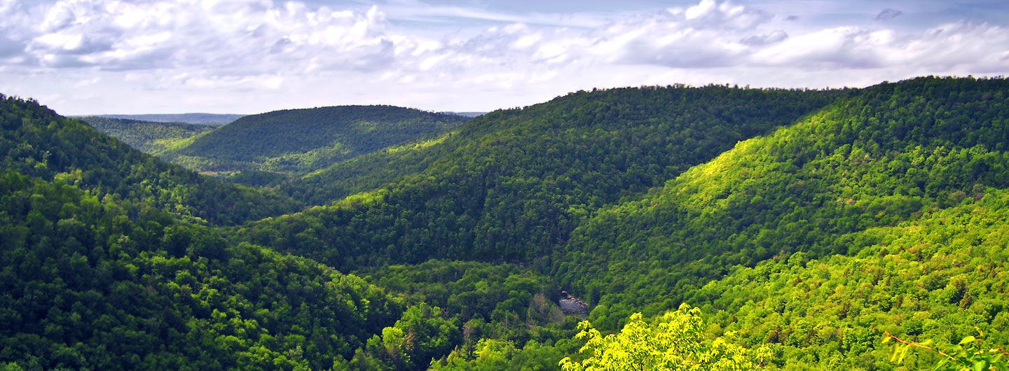 Worlds End State Park Guide - Pennsylvania