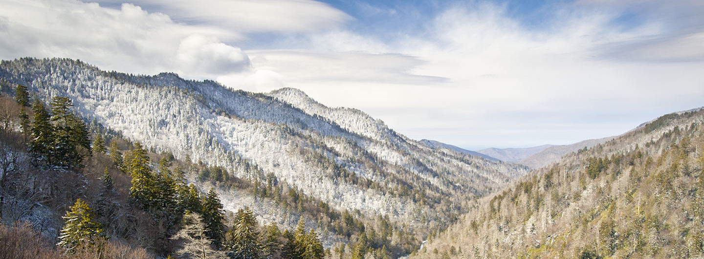 Great Smoky Mountains National Park Outdoorsy